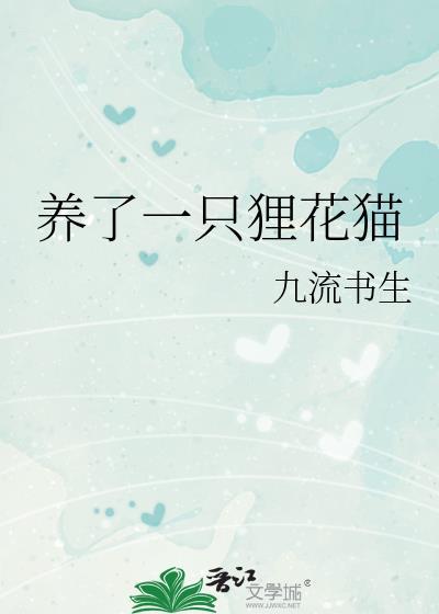 养只狸花猫是怎么样的体验?