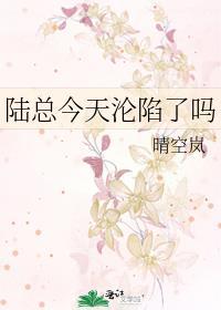 陆总今天破免费阅读