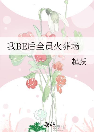 我BE后全员火葬场讲了什么