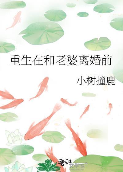 重生在和老婆离婚前讲了什么