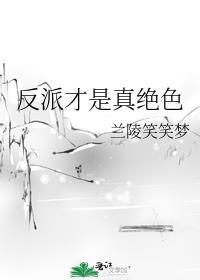 反派才是真绝色已书