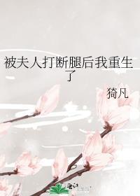 被夫人打断腿后