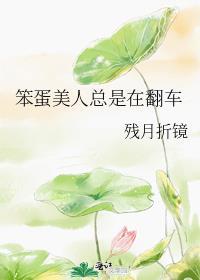 笨蛋美人总是在翻车by
