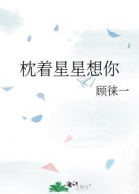 枕着星星想你晋江