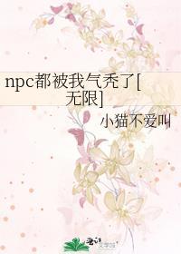 npc都是我