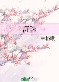 沉珠是什么