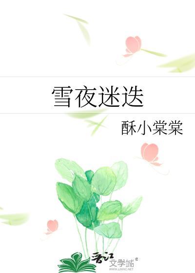 雪夜迷迭 作者酥小棠棠