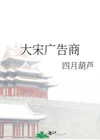 大宋商贸有限公司