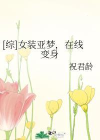 双生夫郎互换人生后txt