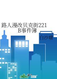 贝克街221号的秘密txt
