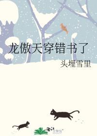 龙傲天穿错书了剧透