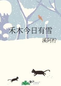 禾木今日有雪by溪阿柠百度
