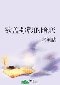 欲盖弥彰bymark