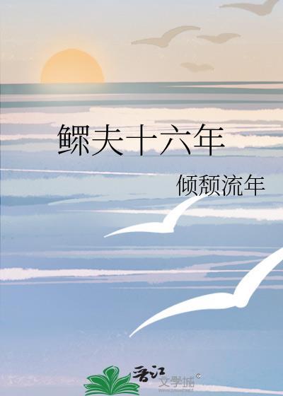 鳏夫十六年完整版
