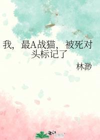 我最a战猫被死对头标记了讲了什么