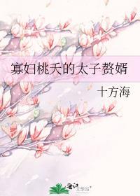 寡妇桃夭的太子赘婿 十方海