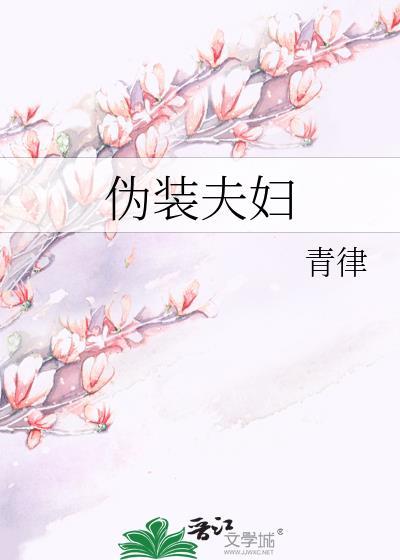 伪装夫妇日剧