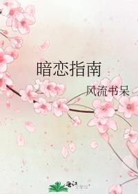 暗恋指南晋江