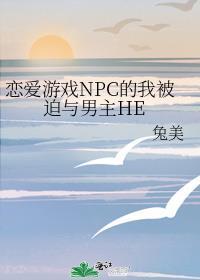 和游戏npc恋爱
