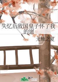 失忆后敌国皇子怀了我的崽 作者无柚之夏