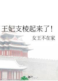 王妃支棱起来了晋江文学城