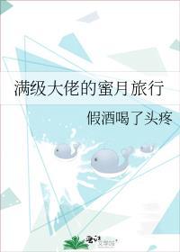 满级大佬的蜜月旅行txt