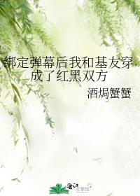 绑定弹幕后我和基友穿成了红黑双方txt