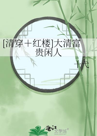 清穿红楼大清富贵闲人免费阅读