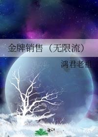 金牌销售(无限流)作者鸿君老祖