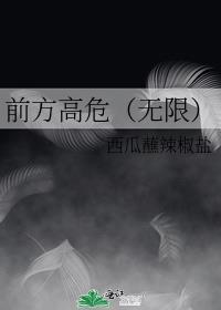 前方高危无限免费笔趣阁