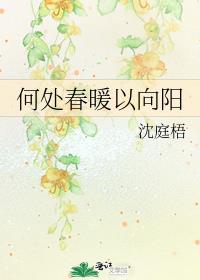 何处春暖以向阳免费阅读完结版
