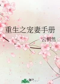 重生之宠妻手册全文阅读