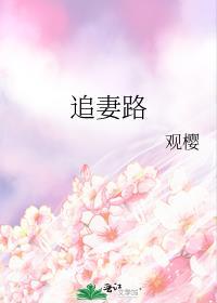 追妻路漫漫上一句