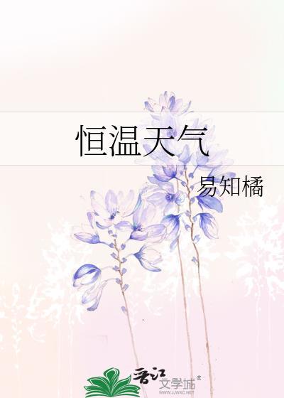 恒温天气txt