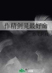 剑灵精通后选什么