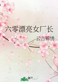 六零彪悍女厂长作者云吉锦绣