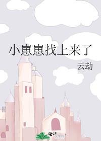 小崽崽找上来了百度