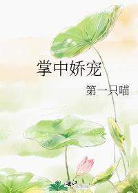 掌中娇宠第一只喵txt