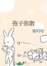 半吊子生活图片