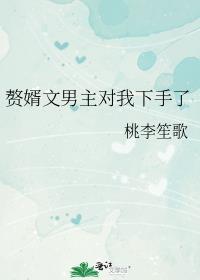 男主是赘婿