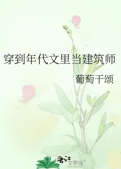 穿到年代文里当建筑师格格党
