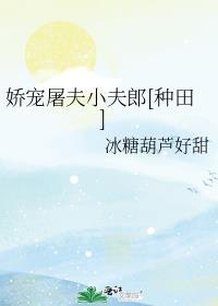 娇宠屠夫小夫郎种田番外