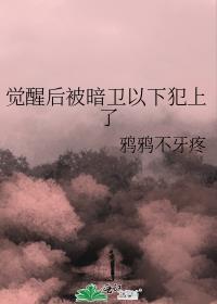 觉醒后被暗卫以下犯上笔趣阁