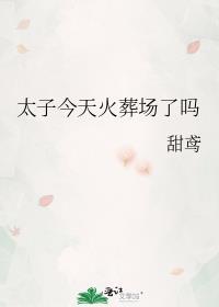 太子今天火葬场了吗by甜鸢