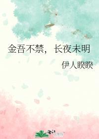 金吾不禁长夜未明是什么意思