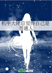 机甲大仙txt