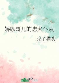 娇纵哥儿的忠犬仆从漫画