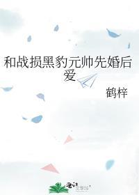 和战损黑豹元帅先婚后爱作者