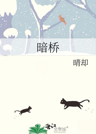 暗桥是什么