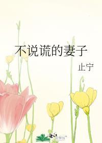 不说谎的爱人电视剧